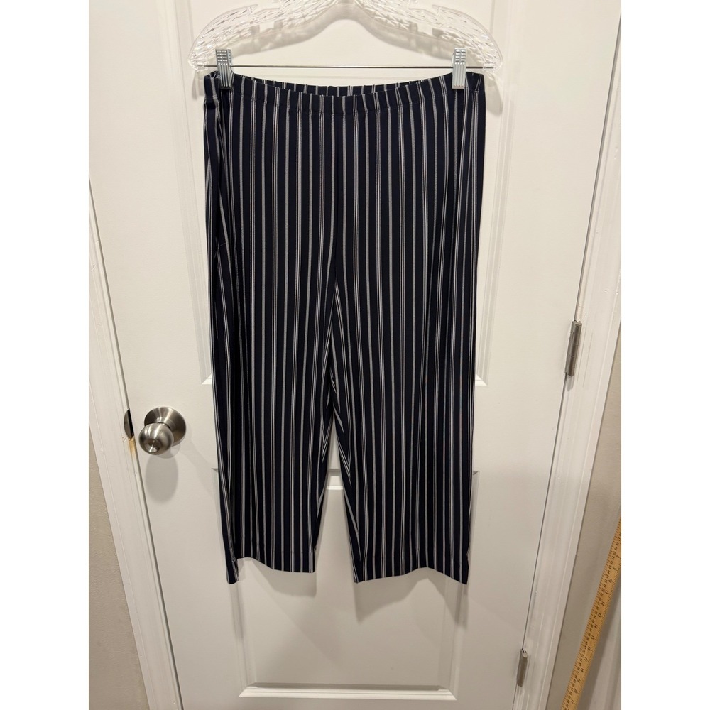 Chico's Design Womens Pants Striped Navy Blue Size 2